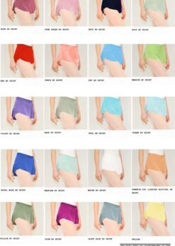 Dance Costume Shop -Dance Costume Shop bullet pointe pull on ballet skirt 1