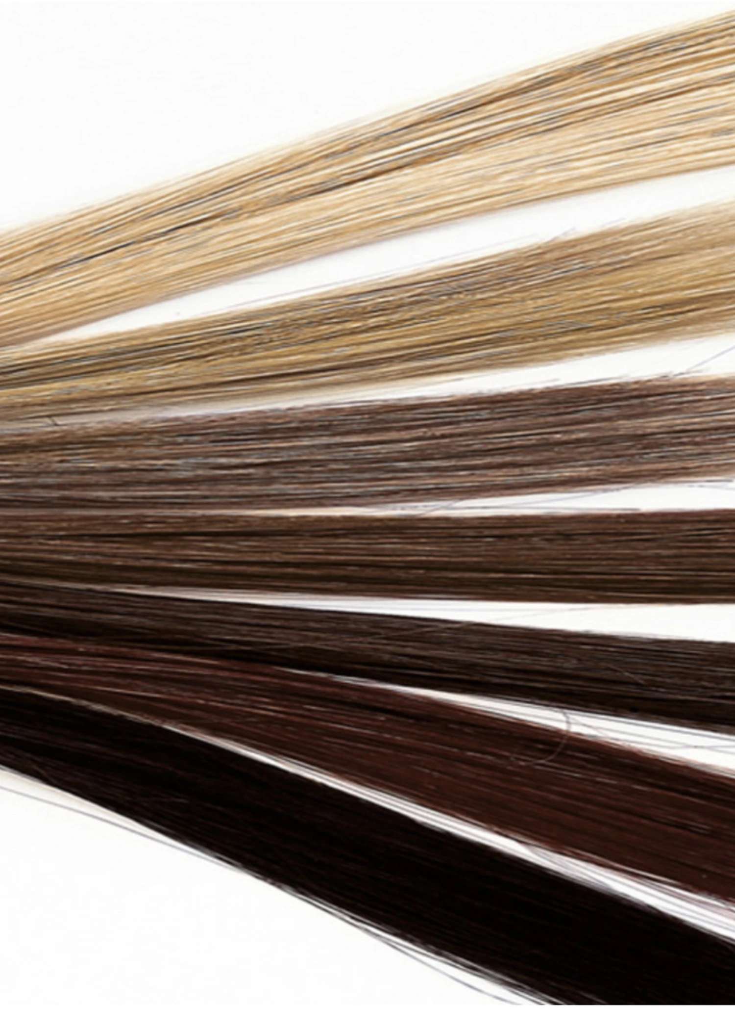 Dasha Designs Ringlet Curls Hair Extension Wig 2 Dasha Designs Ringlet Curls Hair Extension Wig - Image 2