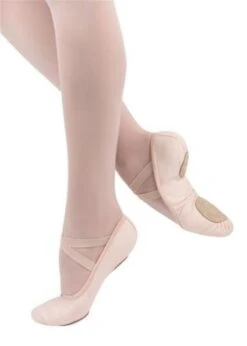 Nikolay Model X Canvas Ballet Slipper