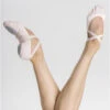Wear Moi Vesta Canvas Ballet Shoe
